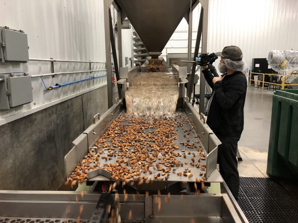 Almonds Conveyor Belt - Nut Up